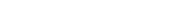Nanocam